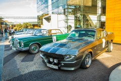 IMG_3369-2-Copy