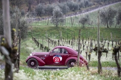 franciacorta-historic-2019_33693354958_o (Copy)
