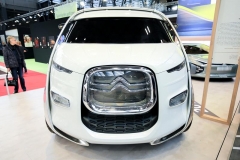 Citroen Tubik (Copy)